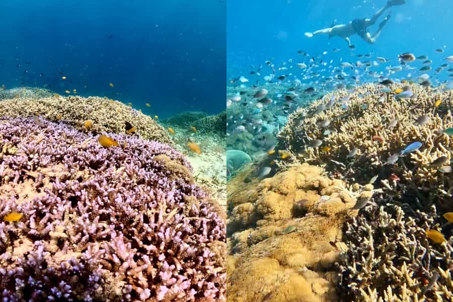 Explore Hidden Gili's Lombok : Gili Asahan,Gede,Goleng,Layar - What to Bring for a Comfortable 8 to 10 Hour Gili Day