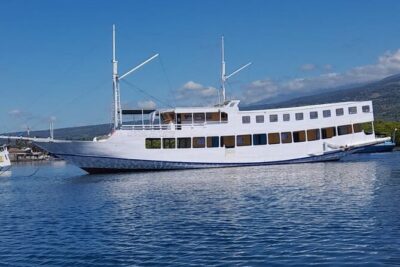Explore Komodo and Swim with Whale Sharks