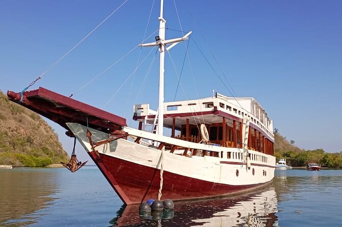 Explore Komodo and Swim with Whale Sharks - Komodo National Park: dragons, plus the animal sightings that make the trip feel alive