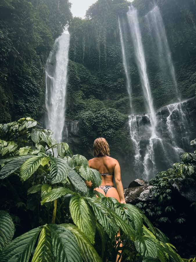 Explore Munduk Customized 8 Hours Day Tour In The North Bali - Key highlights worth getting excited about