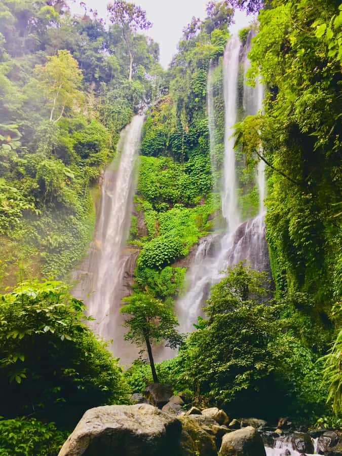 Explore Munduk Customized 8 Hours Day Tour In The North Bali - The drive reality check, curvy roads and mountain timing