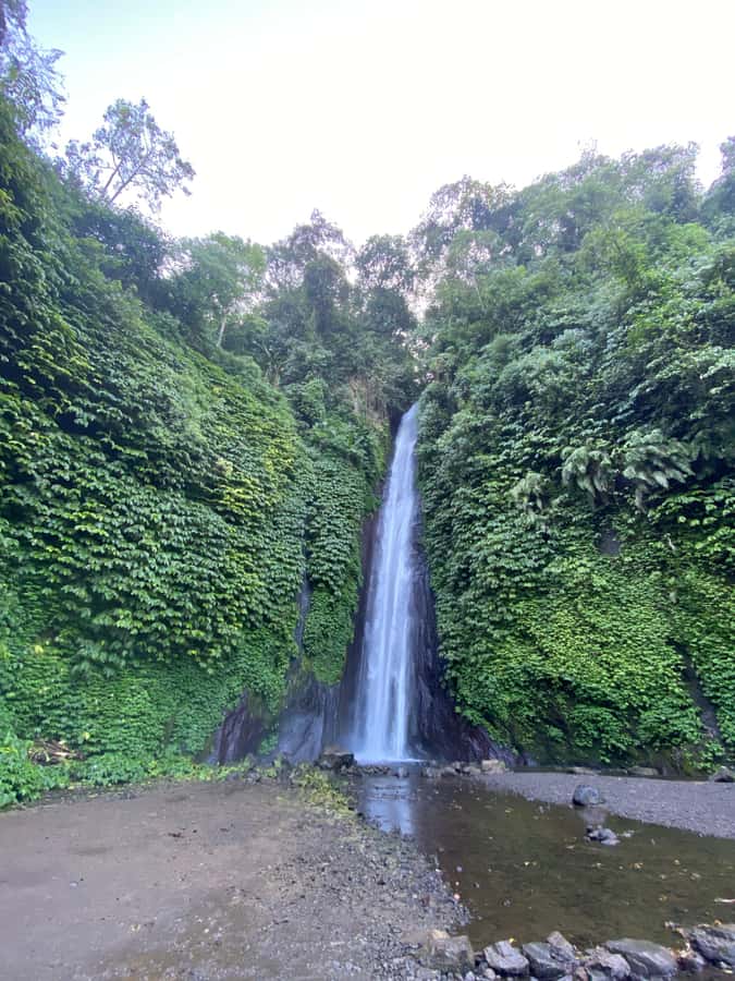 Explore Munduk Customized 8 Hours Day Tour In The North Bali - Coffee plantation experience, tasting plus the simple story behind it