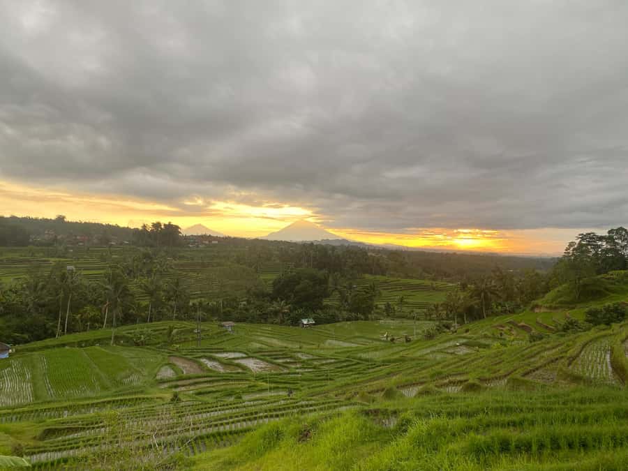 Explore rice terraces munduk & waterfall trekking experience - Lunch and the Human Touch: When the Meal Feels Part of the Day