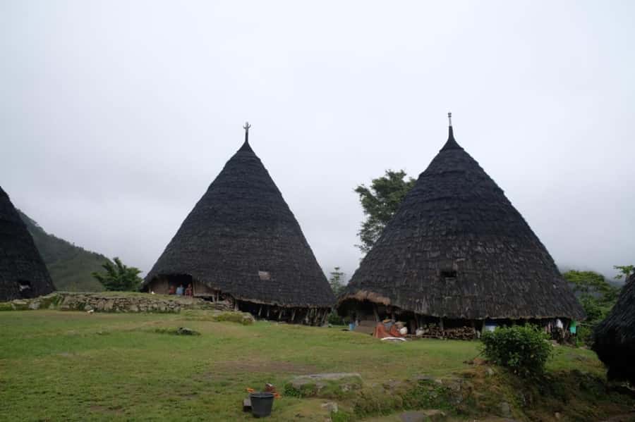 Explore Traditional Village of WAE REBO 2D/1N Shared Tour - Why Wae Rebo feels different from other Flores stops