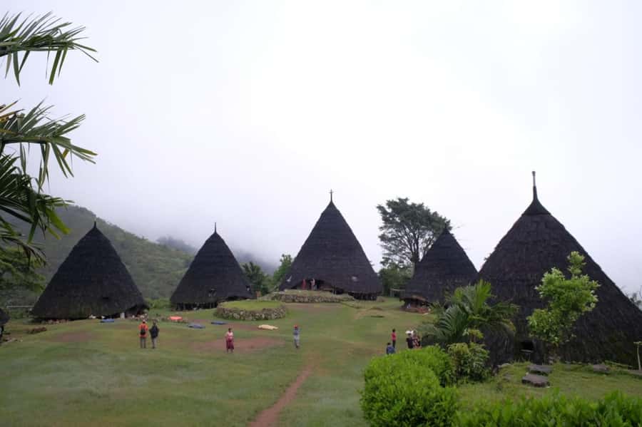 Explore Traditional Village of WAE REBO 2D/1N Shared Tour - Trekking the Todo forest: what the 2-3 hours demands