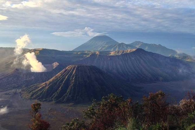 Explore volcano Bromo - start Surabaya // 2 days 1 night - Ngadisari and Kalikajar: coffee, farmers, and village time