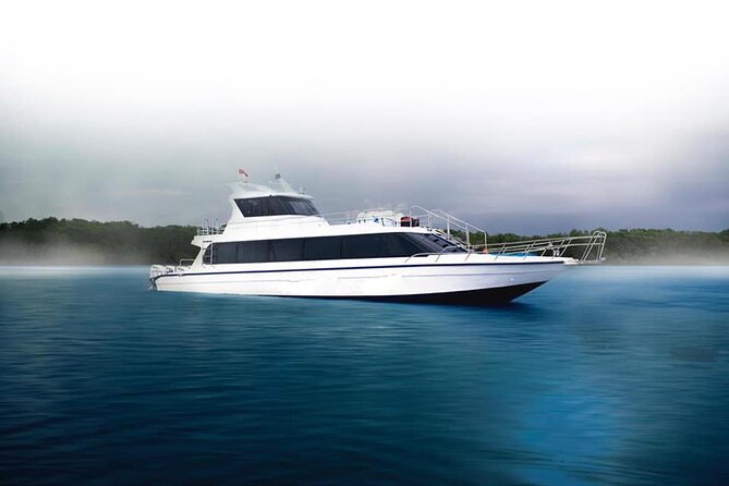 Fast Boat Transfer: Sanur to Nusa Penida by Penidago - Sanur to Nusa Penida, what the transfer feels like