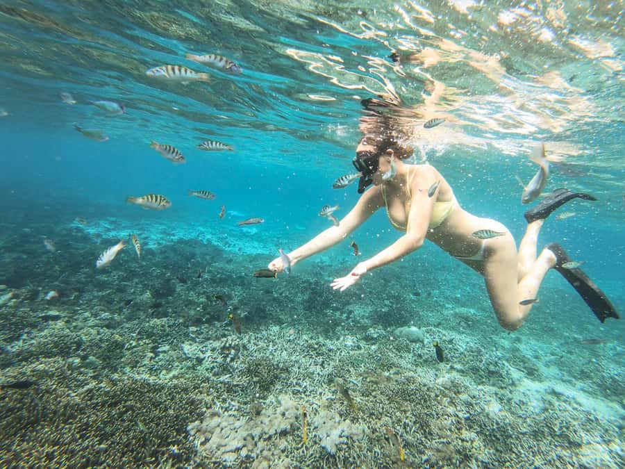From Bali: 2-Day Nusa Penida and Lembongan Complete Tour - Snorkeling and Practical Prep: What to Bring, What to Expect