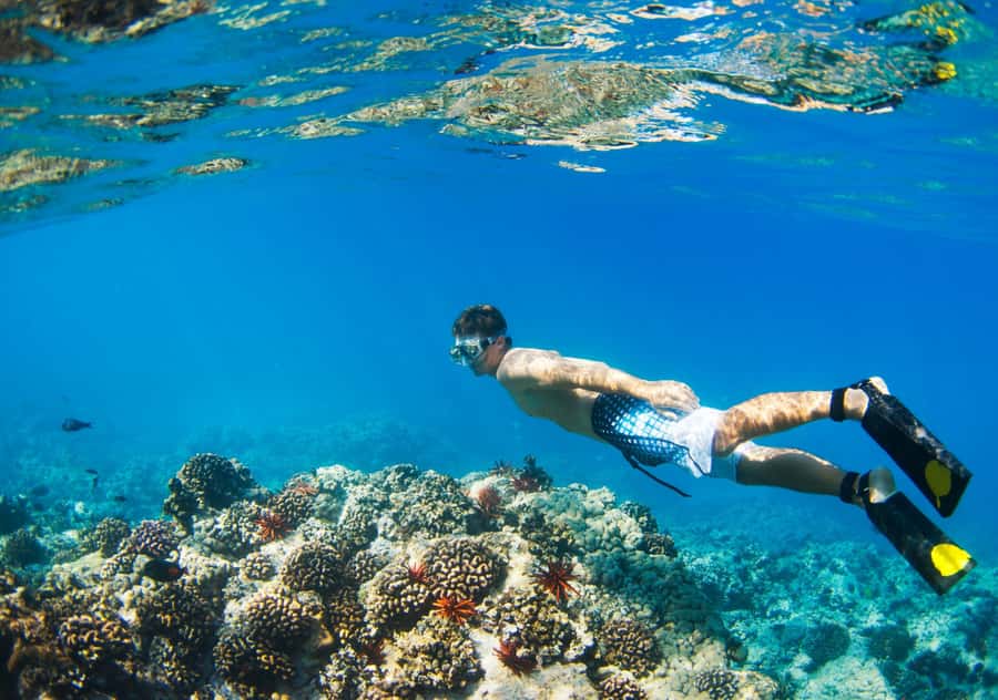 From Bali: 2-Day Private Gili Island Snorkel Tour with Hotel - Where this fits best: who should book it