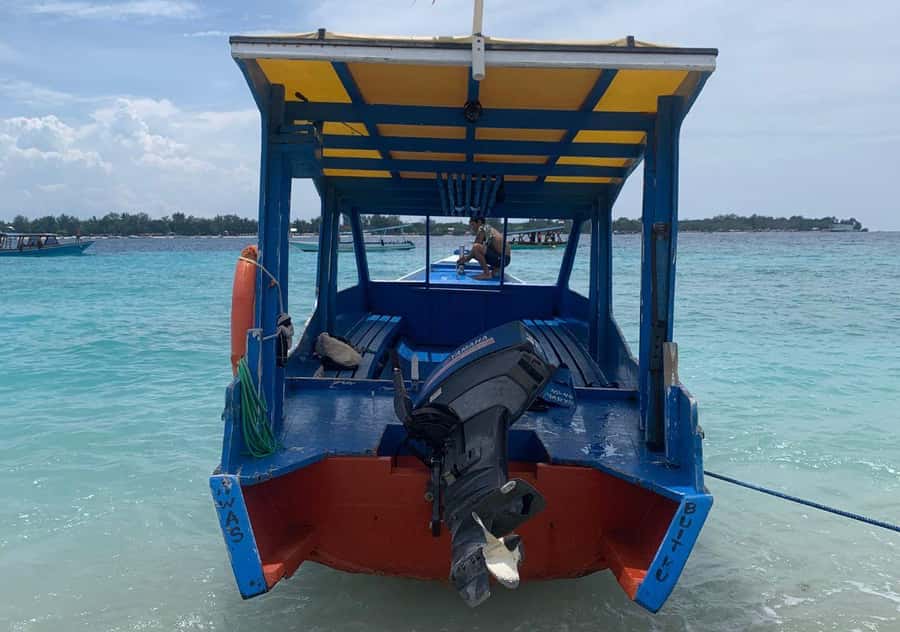 From Bali: 2-Day Private Gili Island Snorkel Tour with Hotel - What the snorkeling is really like: marine life, turtles, and reef structure