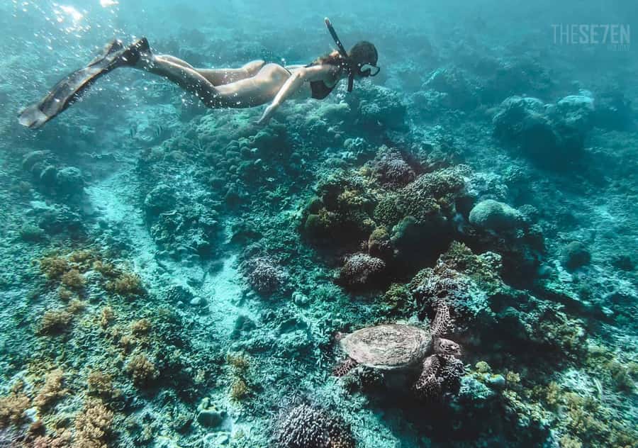 From Bali: 2-Day Private Gili Island Snorkel Tour with Hotel - Standard vs Premium on Gili Trawangan, and what you gain