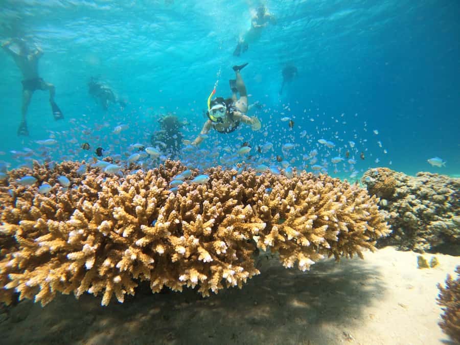 From Bali: 2D1N Gili Island Private Snorkel Boat with Hotel - Day 1 on Gili Trawangan: free time that fits the island