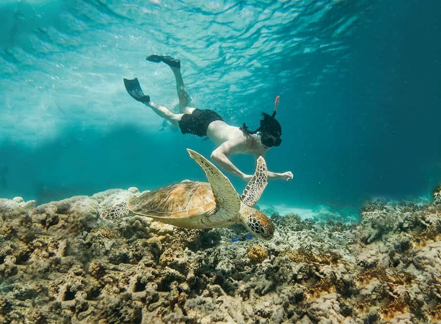 From Bali: 2D1N Gili Island Private Snorkel Boat with Hotel - Day 2 at 8:00 AM: your private snorkeling boat and guide team