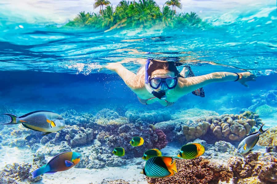 From Bali: 3 Snorkeling Spots Tour to Lembongan and Penida - Key highlights worth getting excited about