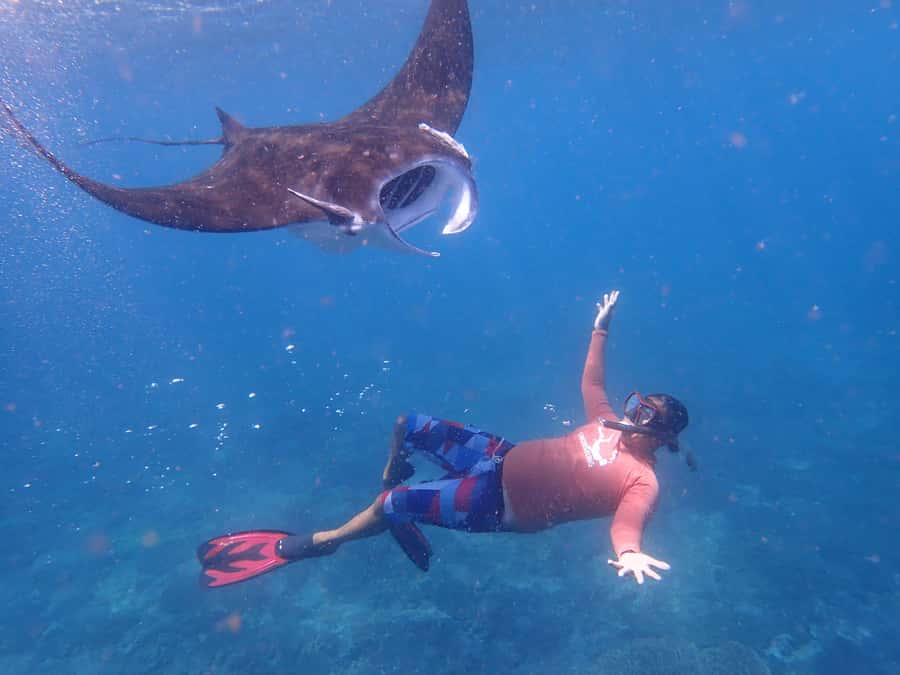 From Bali: 3 Snorkeling Spots Tour to Lembongan and Penida - Who this tour fits best