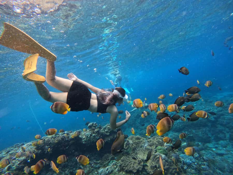 From Bali: 3 Snorkeling Spots Tour to Lembongan and Penida - Ferry, refreshments, then into the water: the day’s rhythm