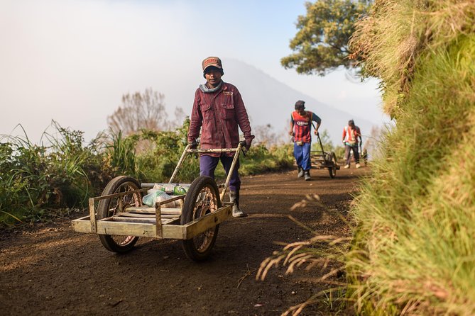 From Bali : Bromo & Kawah Ijen – 3-Day Adventure - The real schedule reality: sleep, walking, and lots of driving