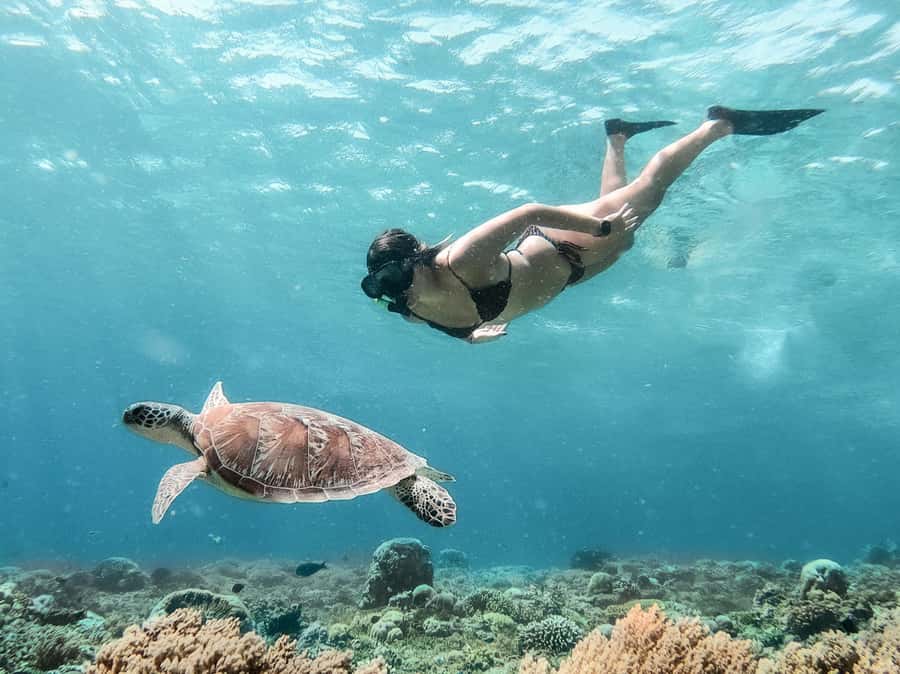 From Bali: Gili Islands Private Snorkeling Day Trip - Getting to Gili Trawangan from Bali, without the slog