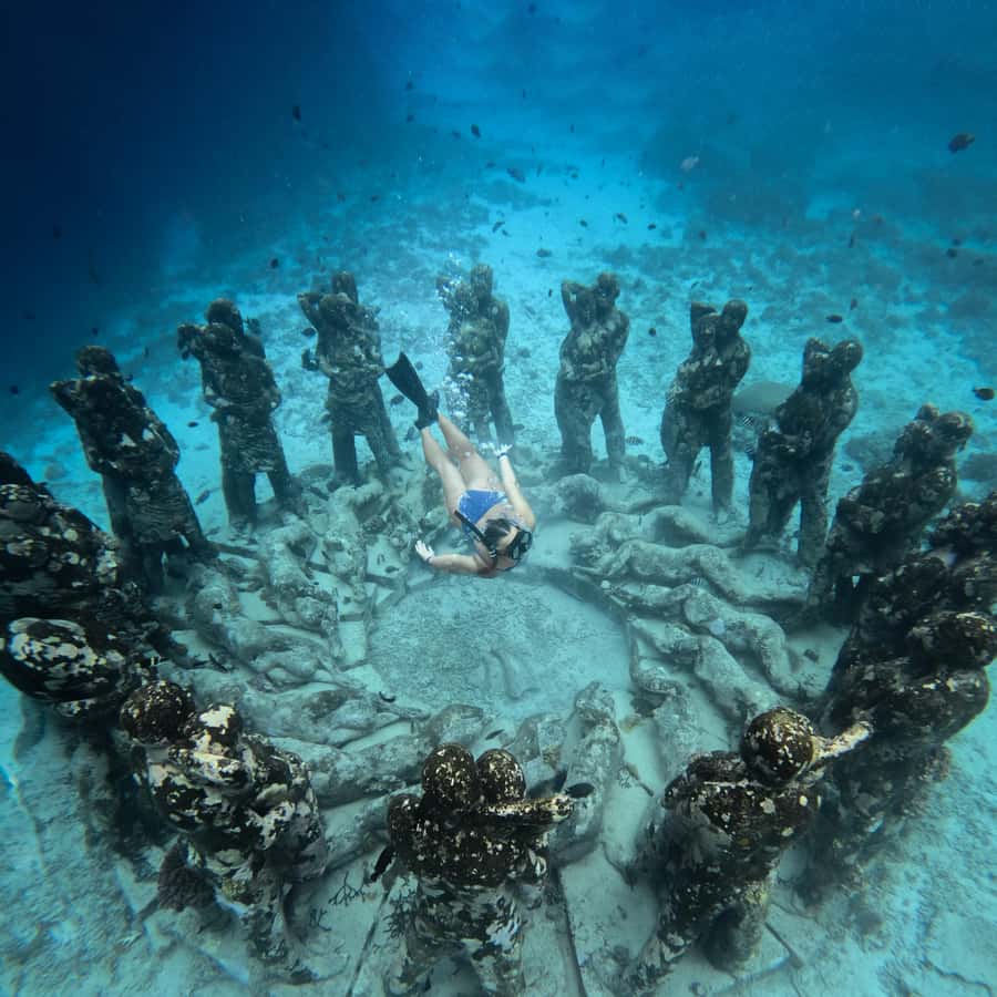 From Bali: Gili Islands Private Snorkeling Day Trip - Check-in at Padangbai and why the day’s timing matters