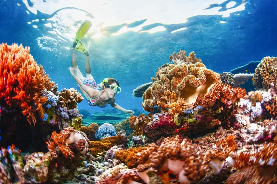 From Bali: Half Day Snorkeling 3 Spots to Lembongan & Penida - Three snorkeling spots: where the reef variety shows up