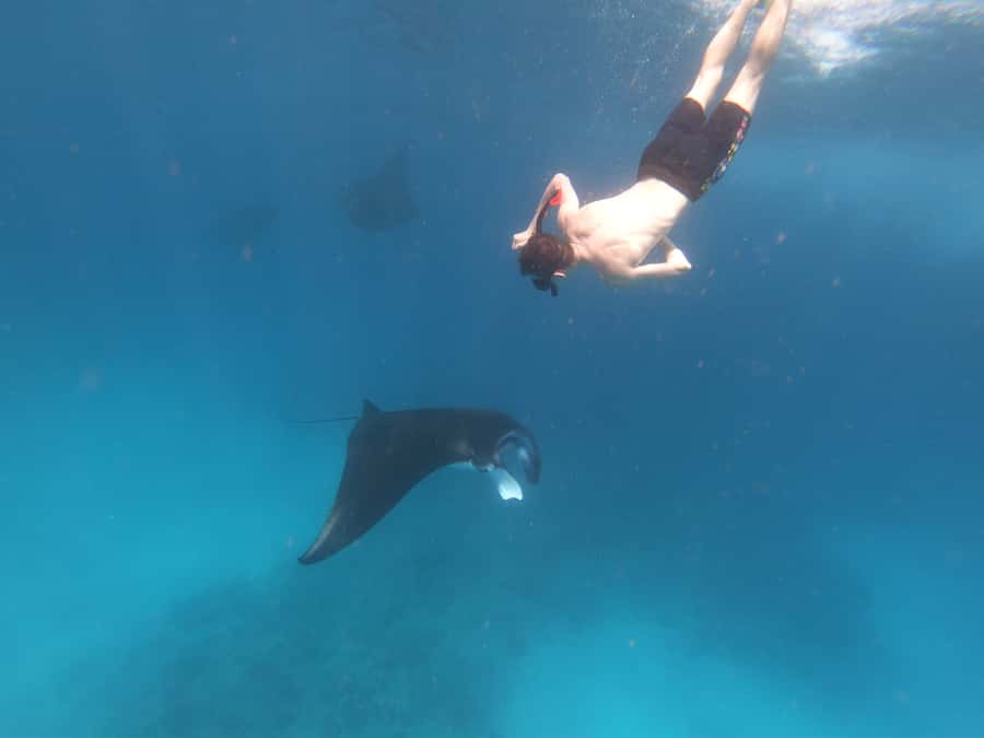 From Bali: Lembongan & Penida 2-Day Tour with Snorkeling - Key takeaways before you go