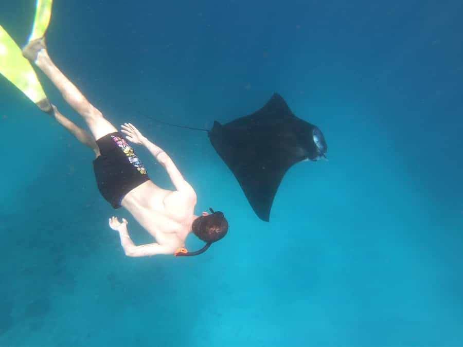 From Bali: Lembongan & Penida 2-Day Tour with Snorkeling - Day 1 on Nusa Lembongan: Crystal Bay to Paradise Beach
