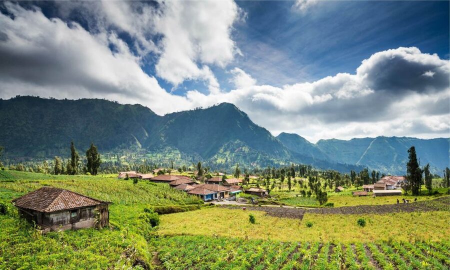 From Bali: Mount Bromo and Blue Fire Ijen Crater 3-Day Tour - Health certificate rules and who should skip this trek