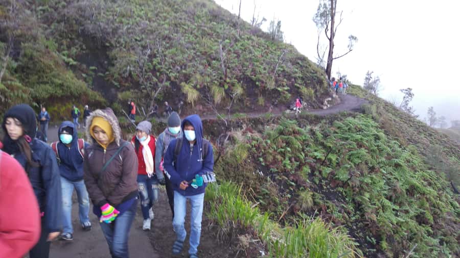 From Bali: Mount Ijen Tour Blue Fire Tour 2D1N, Hotel - Key Highlights You Should Know