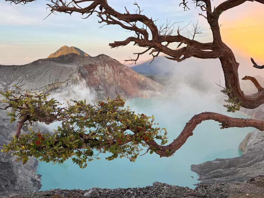 From Bali: Mount Ijen Tour Blue Fire Tour 2D1N, Hotel - What You Get, What You Need to Bring