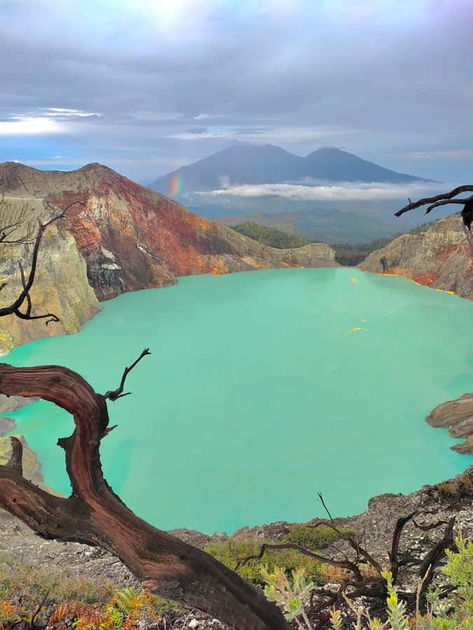 From Bali : Mt Ijen Hike, Blue Fire & Panoramic Lake Guided - The long return: ferry back to Bali and finishing around 4:00 to 5:00 PM