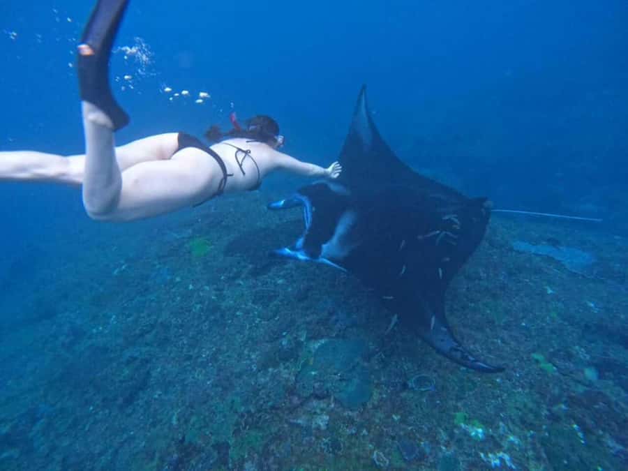 From Bali: Nusa Penida 3 Spots Snorkeling Tour With Guide - Key Points to Know Before You Go