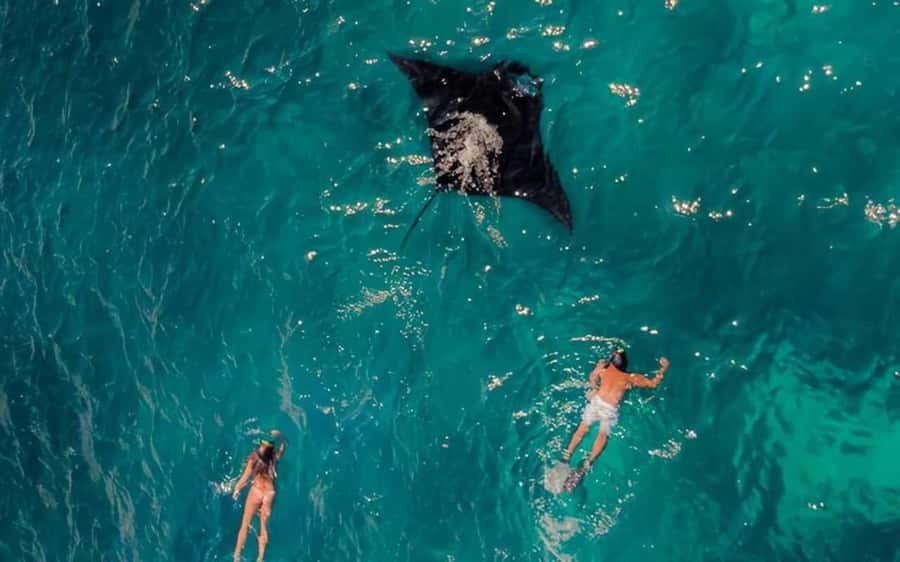 From Bali: Nusa Penida 3 Spots Snorkeling Tour With Guide - Crystal Bay and Gamat Bay Snorkeling: Color, Reefs, and Sea Turtles