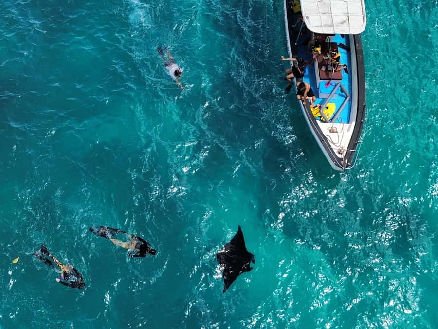 From Bali: Nusa Penida 3 Spots Snorkeling Tour With Guide - Value for $18: What You Get for the Money
