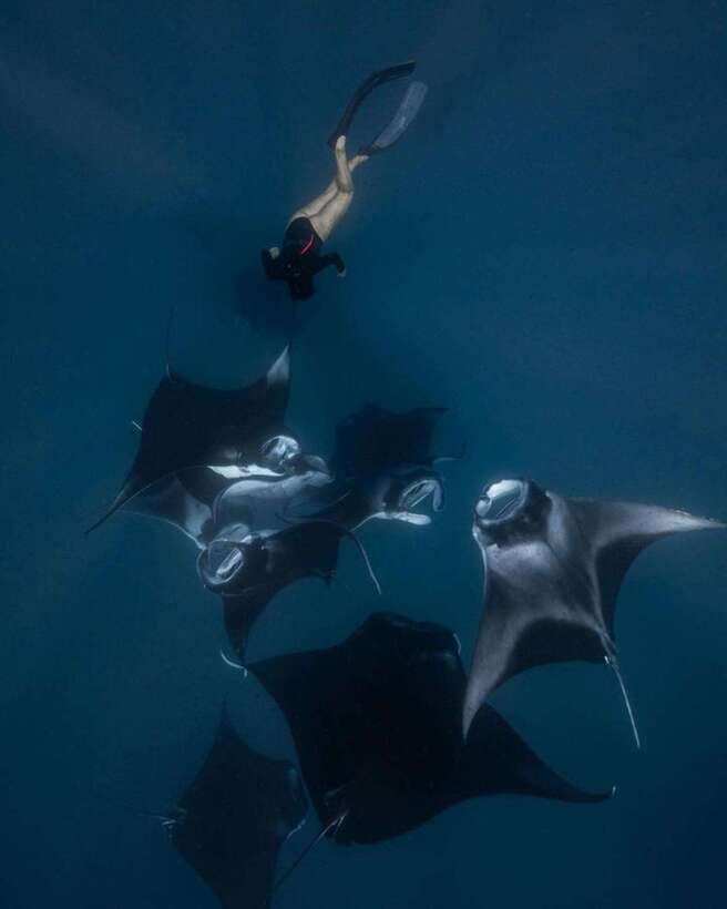 From Bali: Nusa Penida Day Tour & Snorkeling - Gear, GoPro underwater, and how to get better results