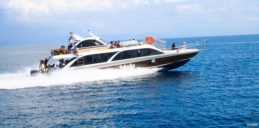 From Bali: Nusa Penida Full Day Private Snorkeling Tour - Bali to Nusa Penida in one day: timing that actually works