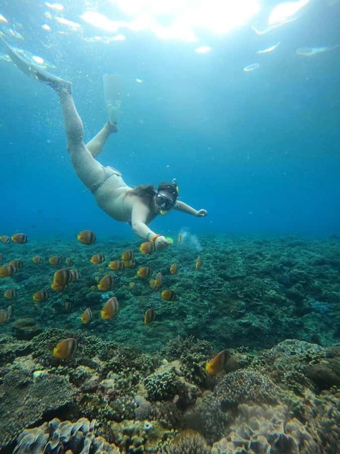 From Bali: Nusa Penida Full Day Private Snorkeling Tour - Maruti Beach Club lunch, showers, and why it matters after saltwater