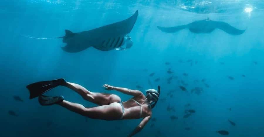 From Bali: Nusa Penida Full Day Private Snorkeling Tour - Private snorkeling boat, gear, and guide support that reduces stress