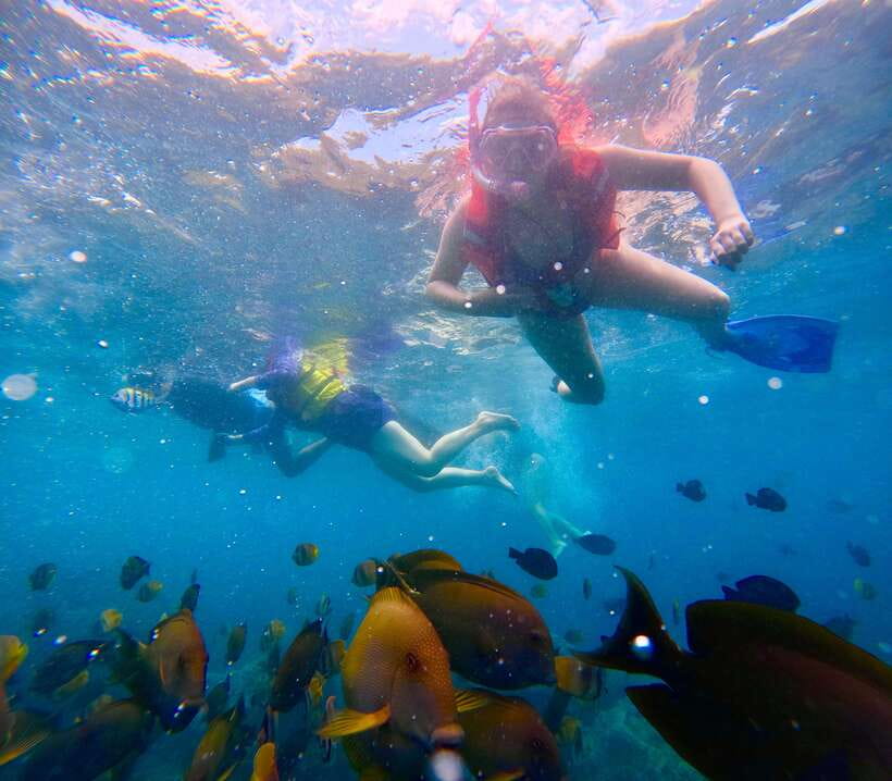 From Bali: Nusa Penida Full Day Tour and Snorkeling 3 Spots - Getting to Nusa Penida: fastboat energy plus a real schedule