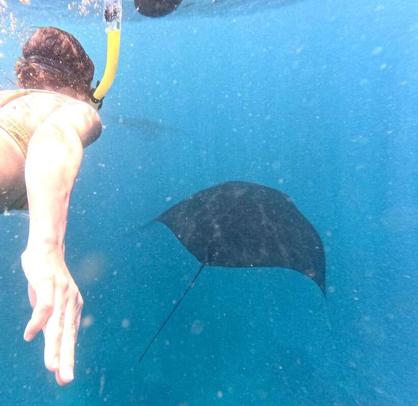 From Bali: Nusa Penida Full Day Tour and Snorkeling 3 Spots - Snorkeling on Penida: three marine stops with gear and a boat