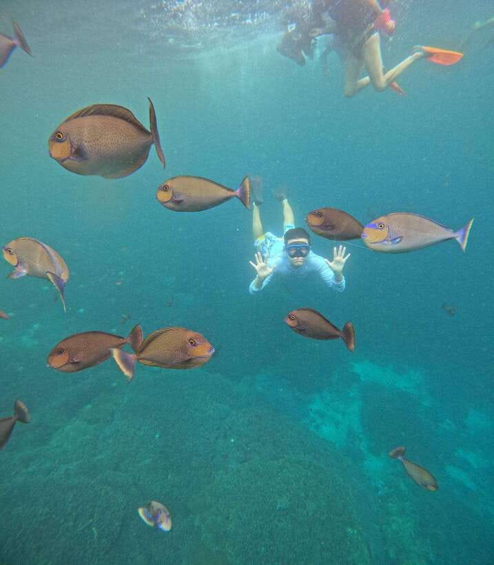 From Bali: Nusa Penida Full Day Tour and Snorkeling 3 Spots - Price and value: what $105 per person is covering