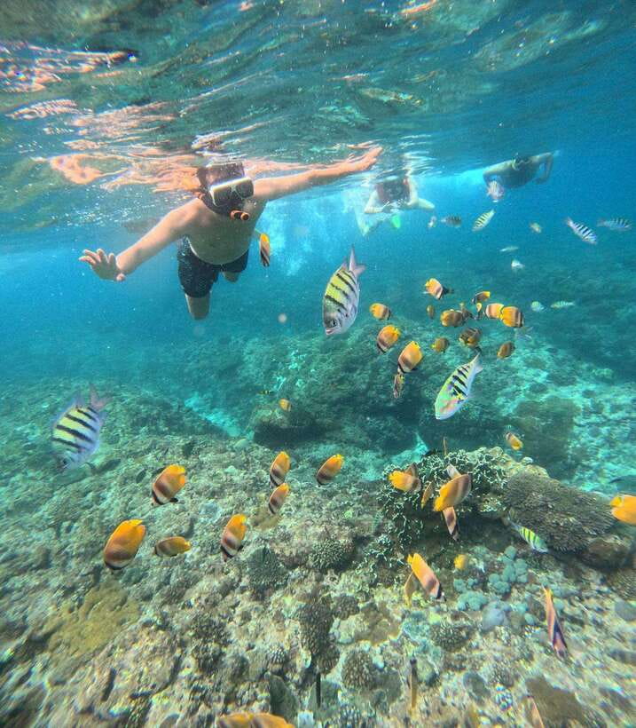 From Bali: Nusa Penida Full Day Tour and Snorkeling 3 Spots - Should you book? My practical take