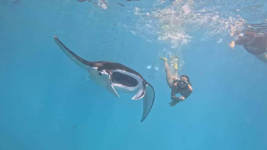 From Bali: Nusa Penida Private Snorkeling and Land Tour - Key highlights I’d circle first