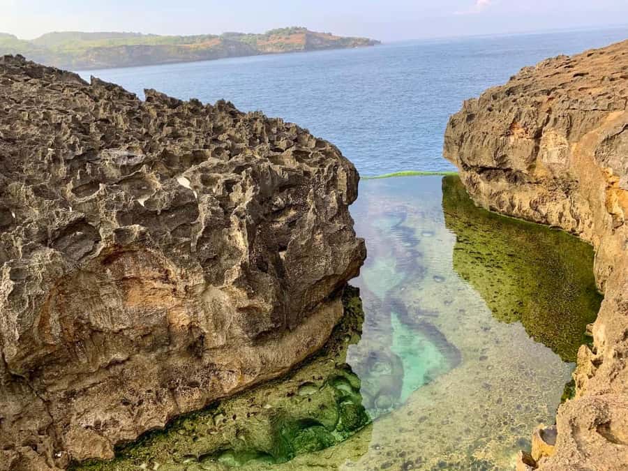 From Bali: Nusa Penida Private Snorkeling and Land Tour - Price and value: what $108 buys you for a full day