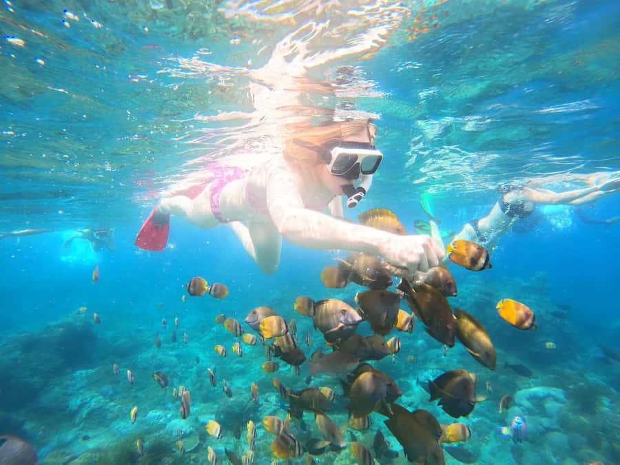 From Bali: Nusa Penida Private Snorkeling and Land Tour - Why Nusa Penida is the kind of Bali trip you remember