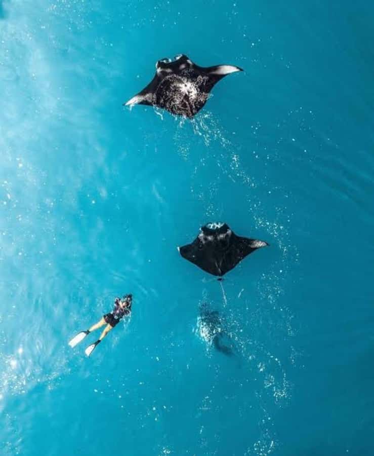 From Bali: Nusa Penida Private Snorkeling and Land Tour - Sanur Port to Nusa Penida, the logistics that make or break the day
