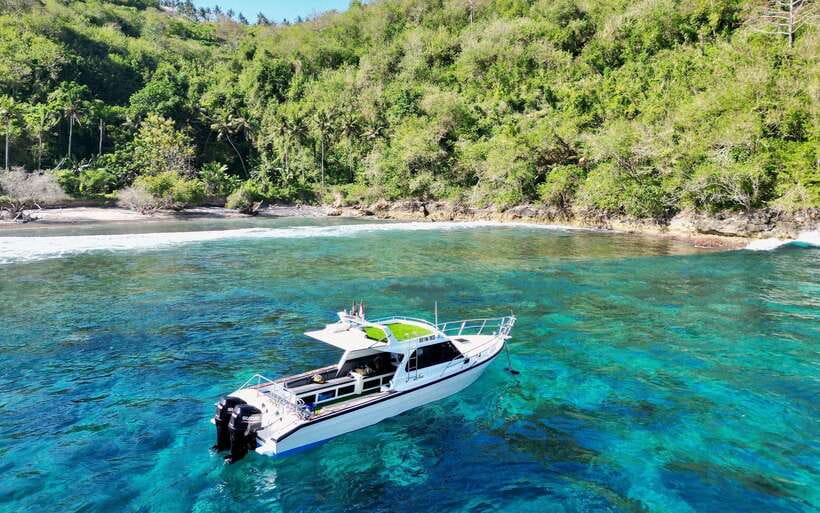 From Bali: Nusa Penida Private Snorkeling Tour with Lunch - Kelingking Cliff viewpoint: iconic views, then Kelingking Beach time