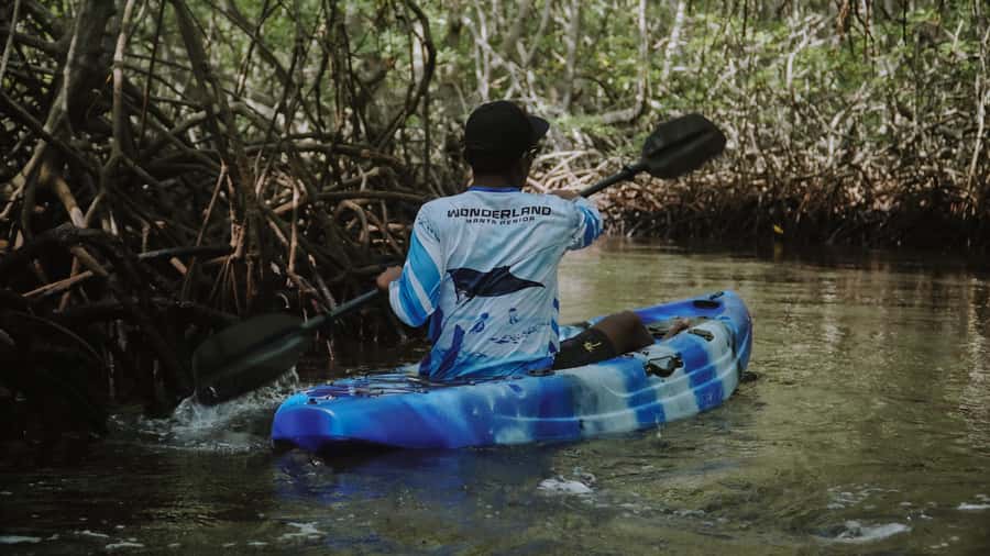 From Bali: Nusa Penida Snorkel 3 Spots w/ GoPro & Kayak tour - The big idea: snorkeling plus a mangrove kayak on one tight schedule