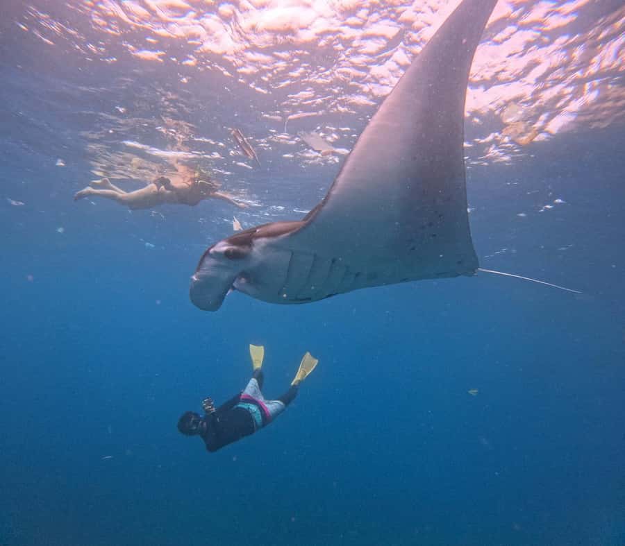 From Bali: Nusa Penida Snorkel 3 Spots w/ GoPro & Kayak tour - Lunch break: a needed reset before kayaking