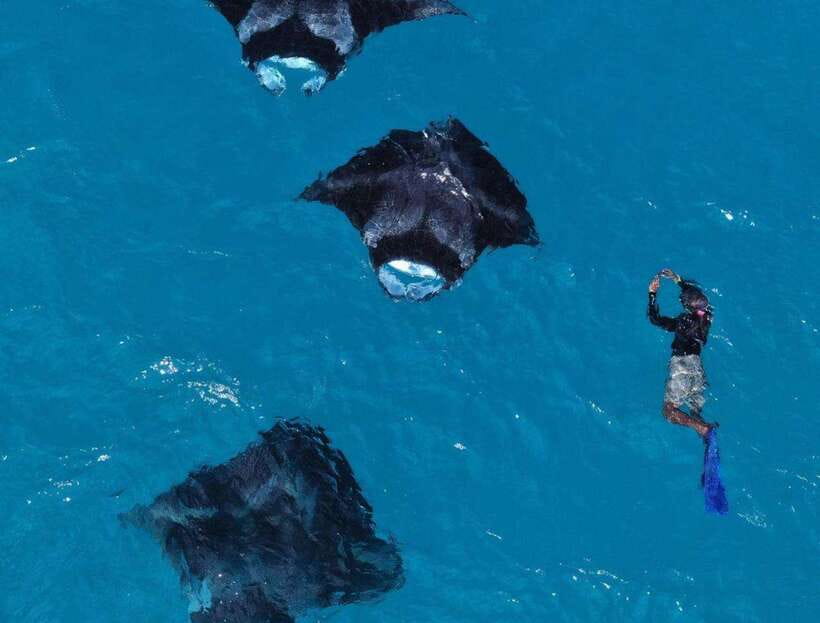 From Bali: Nusa Penida Snorkeling and West Coast Tour - Snorkeling at Manta Point: what the time is really for
