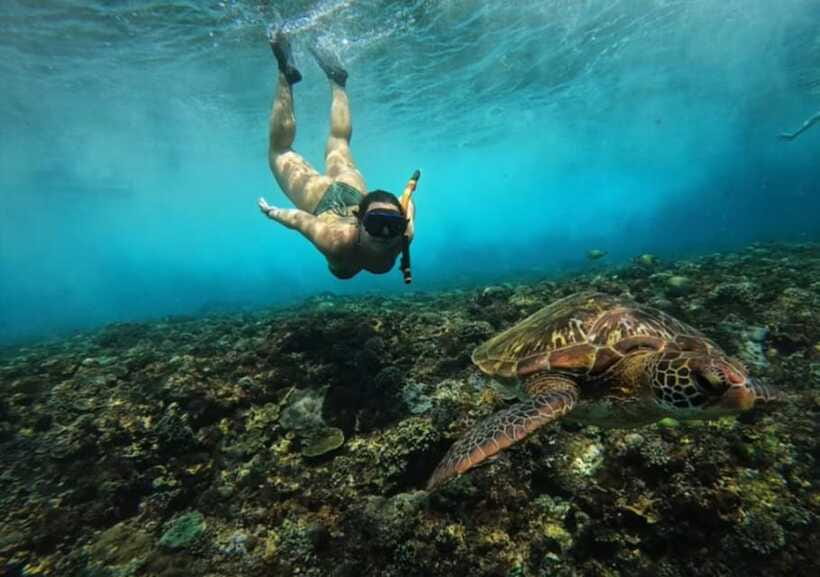 From Bali: Nusa Penida Snorkeling and West Coast Tour - The second water stop at Gamat Bay, plus the crystal-water cove focus